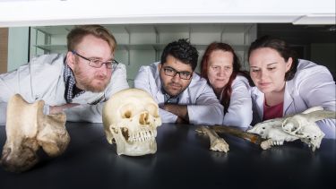 Human Osteology and Funerary Archaeology