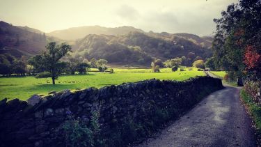 A dry stone wall, green field and hills in the Peak District