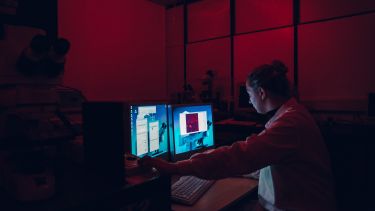 Scanning Electron Microscopy