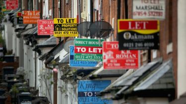 A row of terrace houses with 'to let' signs outside.