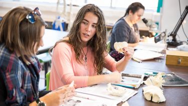 Two students discussing bones in lab