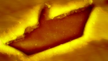 Glass ceramic used for nuclear waste