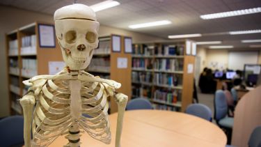 A skeleton in a library in the School of Health and Related Research.