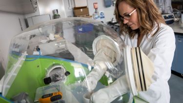 Dr claire corkhill mixing radioactive materials