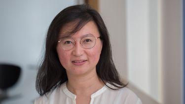 Dr Kang Lan Tee