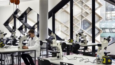 A man working in a lab in The Diamond. 