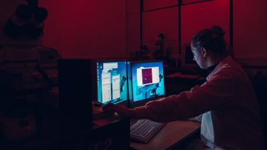 User sitting at the confocal microscope