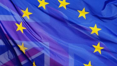EU flag