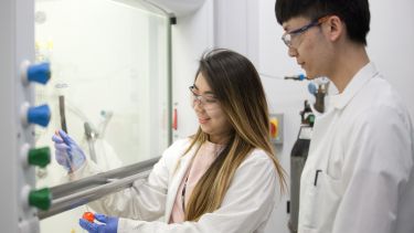 Chemistry Msc 21 Postgraduate The University Of Sheffield