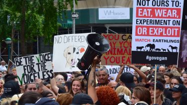 stock image of a Go Vegan protest