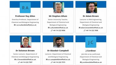 Staff profile index - card view