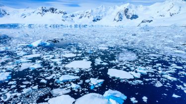 Melting polar ice caps, indicating the theme of climate change.