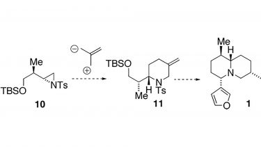 Natural products Synthesis