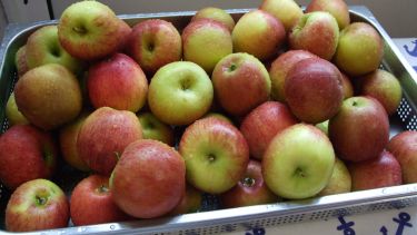 A basked of green and red apples