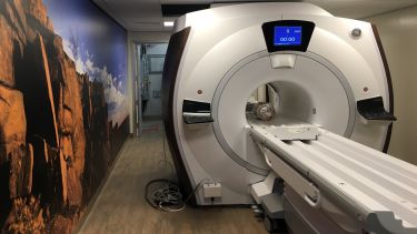 1.5T multi-nuclear whole body MRI system