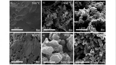 Scanning electron microscope images of battery cathode materials