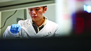 A bioengineering student working in a lab