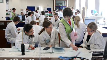 A group of students in a lab working on a project together