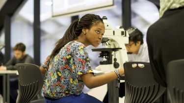 A student is working on a project in a lab - image
