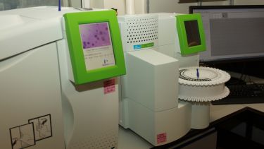 Perkin Elmer GC-MS