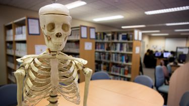 A skeleton in the School of Health and Related Research library. 