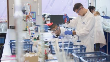 Chemistry taster day