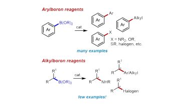 Arylboron and alkylboron reagents