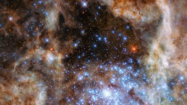 Nebula