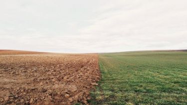 A field half mud and half grassed