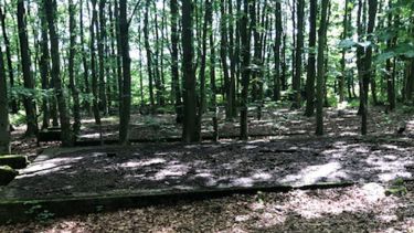 Remains of Lodge Moor prisoner camp 3