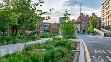 Landschaftsarchitektur der Universität Sheffield