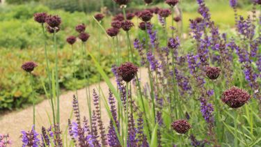 Piet Oudolf landscape design