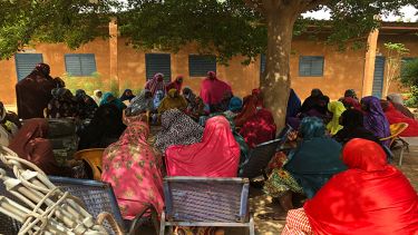 A group of women sit beneath a tree in Niger. 