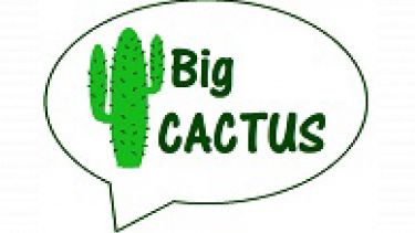 Big Cactus study logo