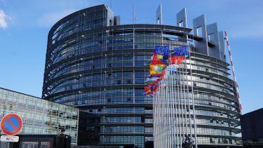 A photograph of European country flags outside of the Seat of the European Parliament in Strasbourg.