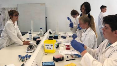 Work Experience in 2018 with BMS Department photo 1