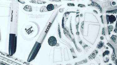 #ChooseLandscape