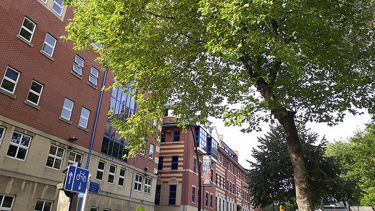 Journalism Studies building at 9 Mappin Street, viewed side on with trees in the foreground.