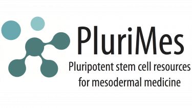 PluriMes logo