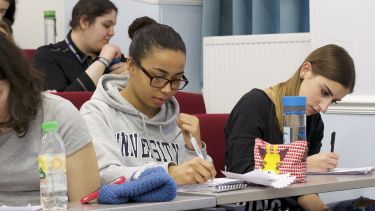 undergraduate courses sheffield