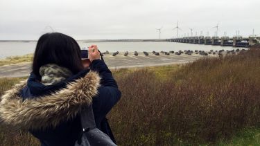 Student takes photo of wind turbines and flood defences on Dutch coast