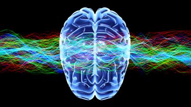 Human brain and waves, conceptual computer artwork.