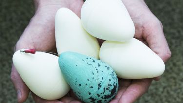 Hands holding the additively manufactured eggs