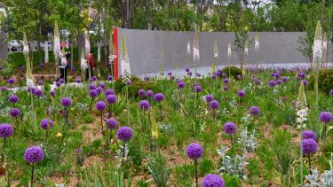 Show garden designed by Professor James Hitchmough