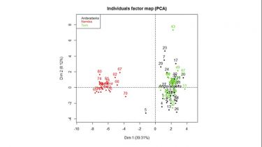 PCA using adegenet