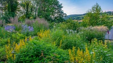The private garden of Professor Nigel Dunnet