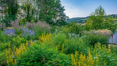 Bramblewood Cottage