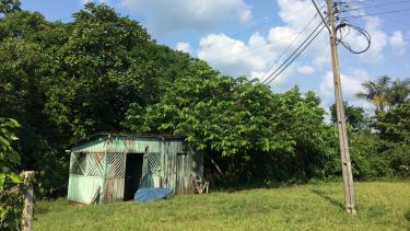 A small green hut next to a set of electricity wires