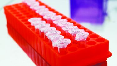 Insigneo red test tubes