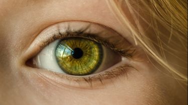Close up shot of woman's green eye